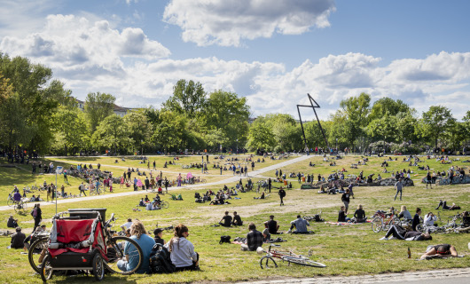 Menschen sitzen im Görlitzer Park, Berlin. Foto: Jörg Farys, (c) Arbeitsgemeinschaft für Kinder- und Jugendhilfe - AGJ
