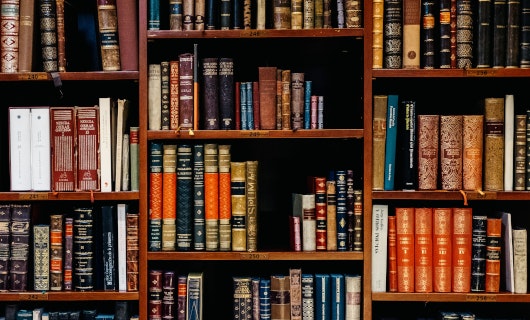 Bücherregal, Foto von Inaki del Olmo / unsplash.com