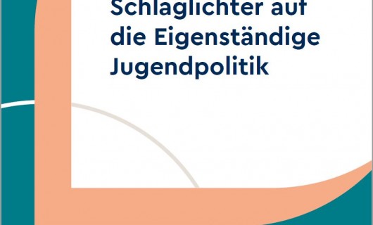 Cover Publikation Eigenständige Jugendpolitik