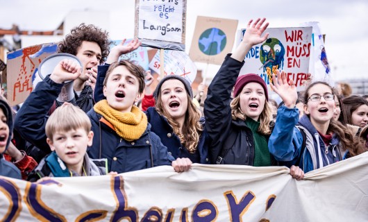 Foto einer Fridaysforfuture Demonstration