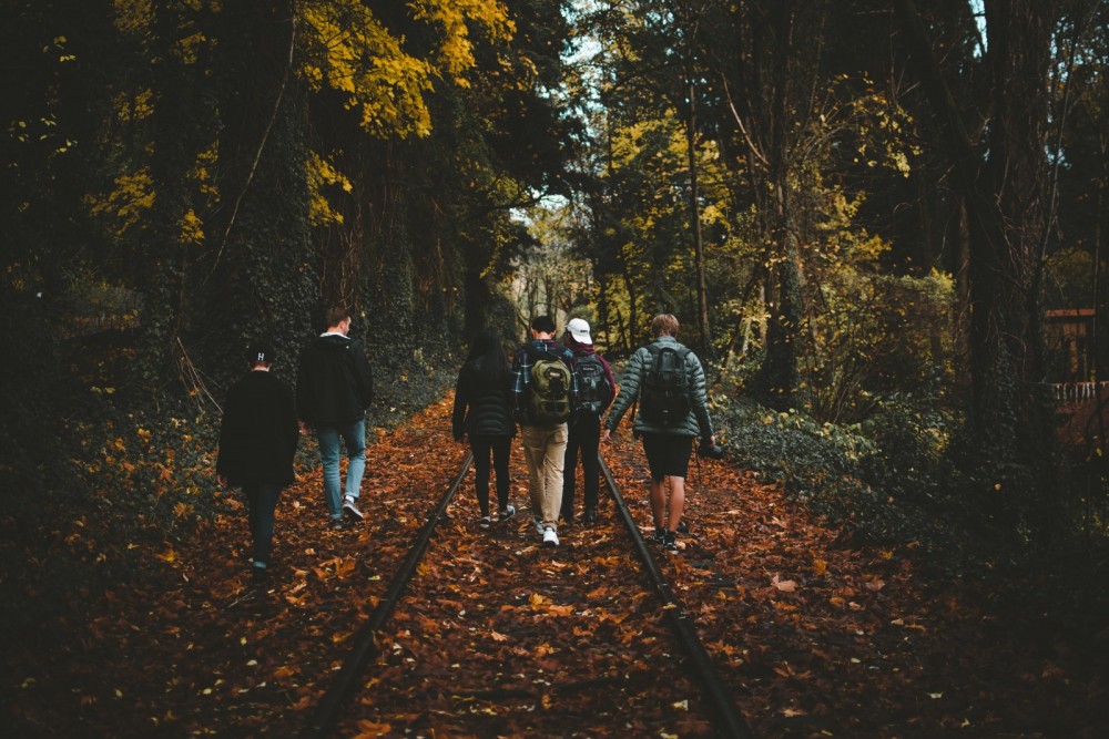 Eine Gruppe von Jugendlichen geht im Wald spazieren.