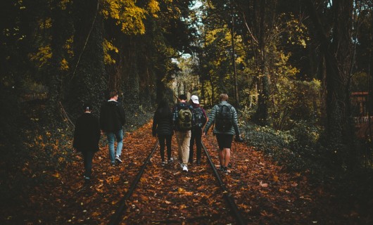 Eine Gruppe von Jugendlichen geht im Wald spazieren.