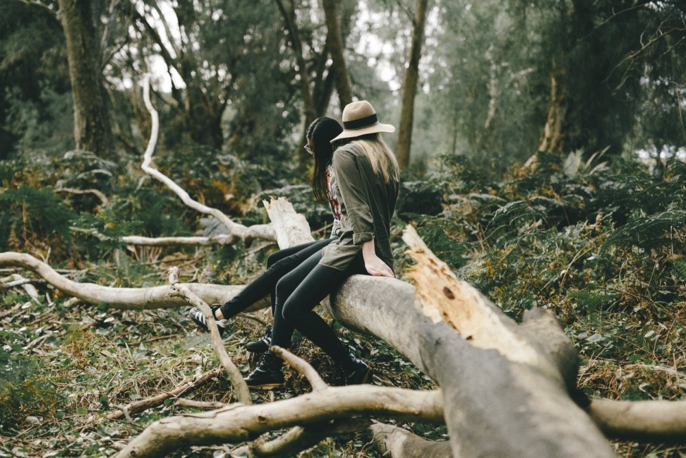 Zwei Frauen sitzen auf einem umgefallenen Baum im Wald.