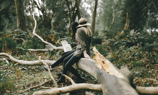 Zwei Frauen sitzen auf einem umgefallenen Baum im Wald.