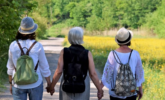 3 Personen halten sich an den Händen in der Natur (Foto: silviarita via pixabay.com)